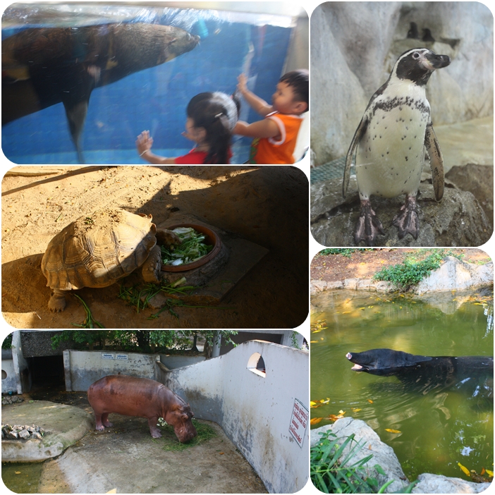 зоопарк в Бангкоке