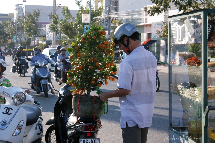 vietnam_new_yearIMG_0050.030
